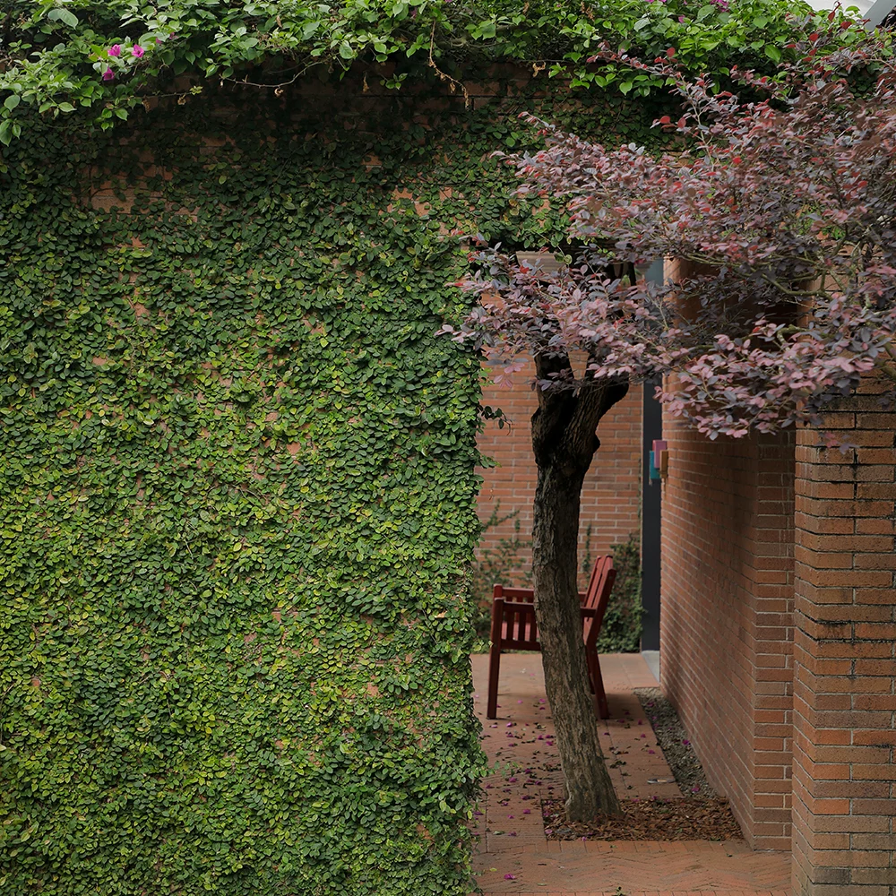 home-gallery_8