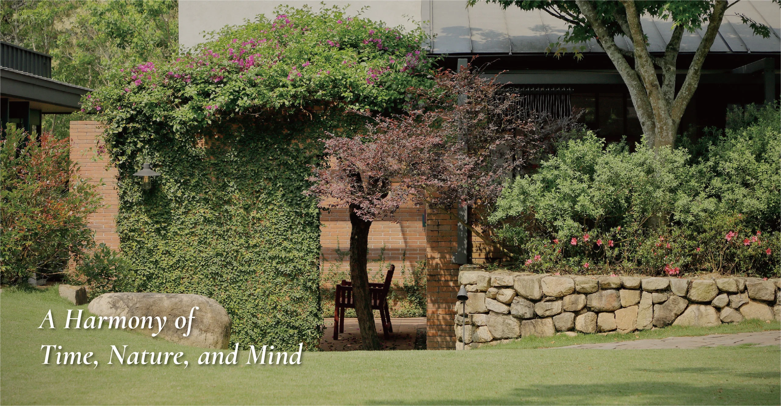 home-slider_5
